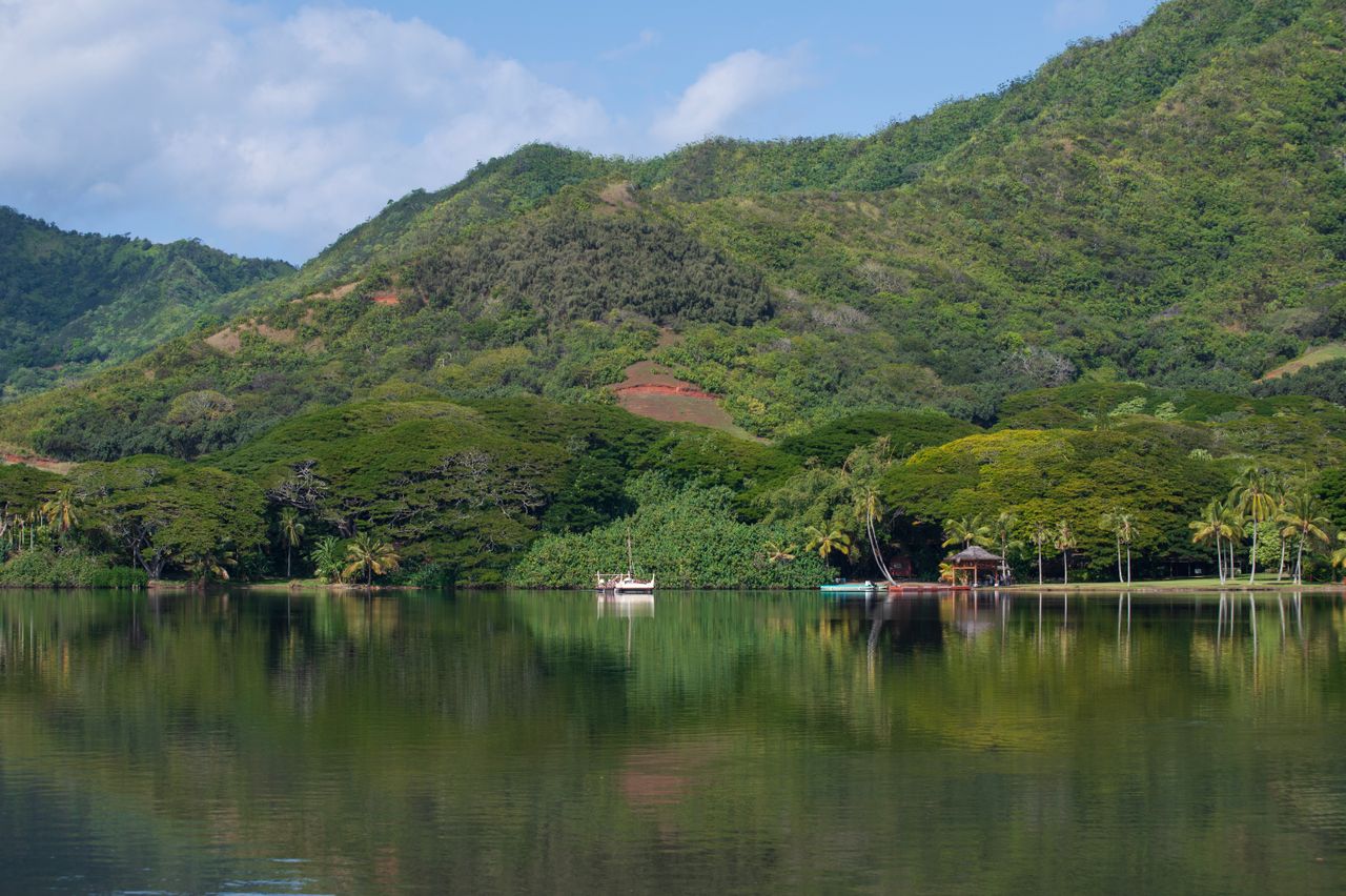 Serene tropical landscape with vibrant greenery reflected in calm water.